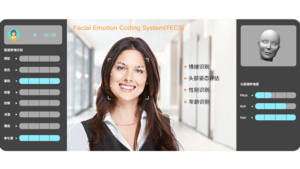 面部表情分析系统